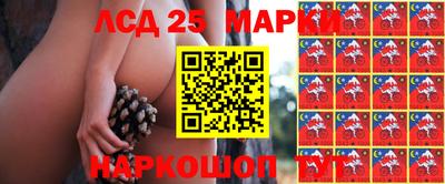 MDMA Premium VHQ Заводоуковск