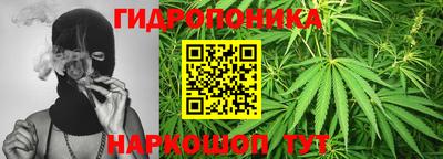 сатива Заволжье