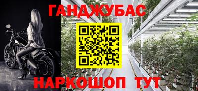 сатива Заволжье