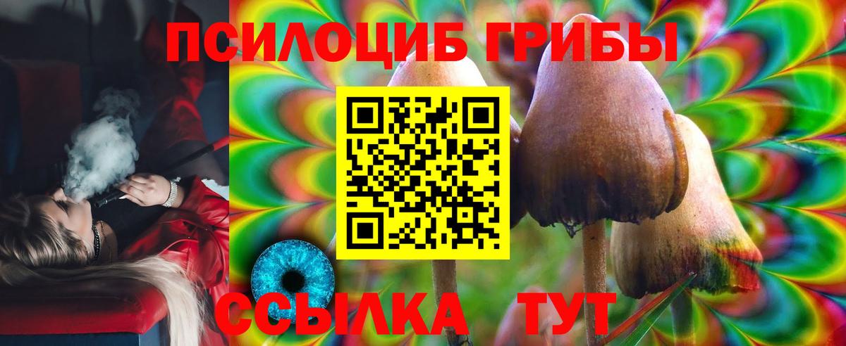 Галлюциногенные грибы Cubensis Малгобек